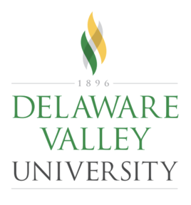 Delval logo stacked