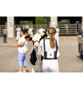 Dairy handlers tile
