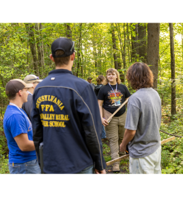 Forestry tile