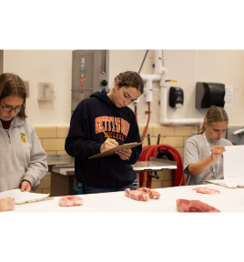 Meats eval tile