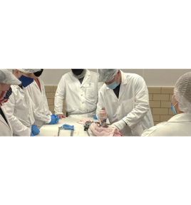 Butcher school header image
