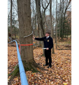 Updated maple cde 112025