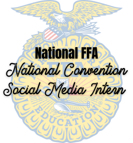 Nat con social media intern
