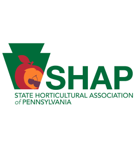 Shap website tile